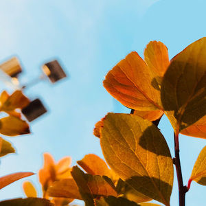 Meet your Posher, Luiz b